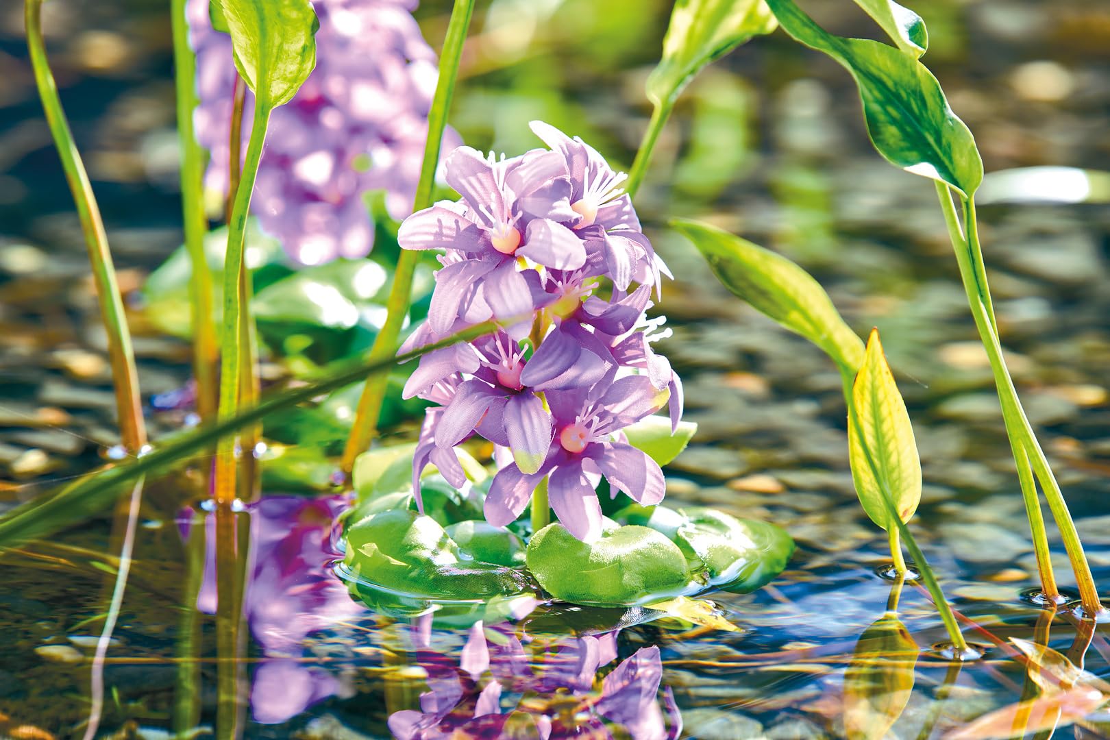 pontec-pondohyacinth-blooming-schwimmende-teich-hyazinthe-kunstpflanze image 2