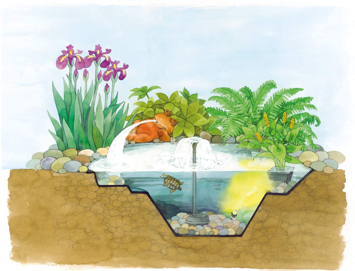 oase-teichschale-pe-500-fertigteich-teichbecken-kunststoff image 4
