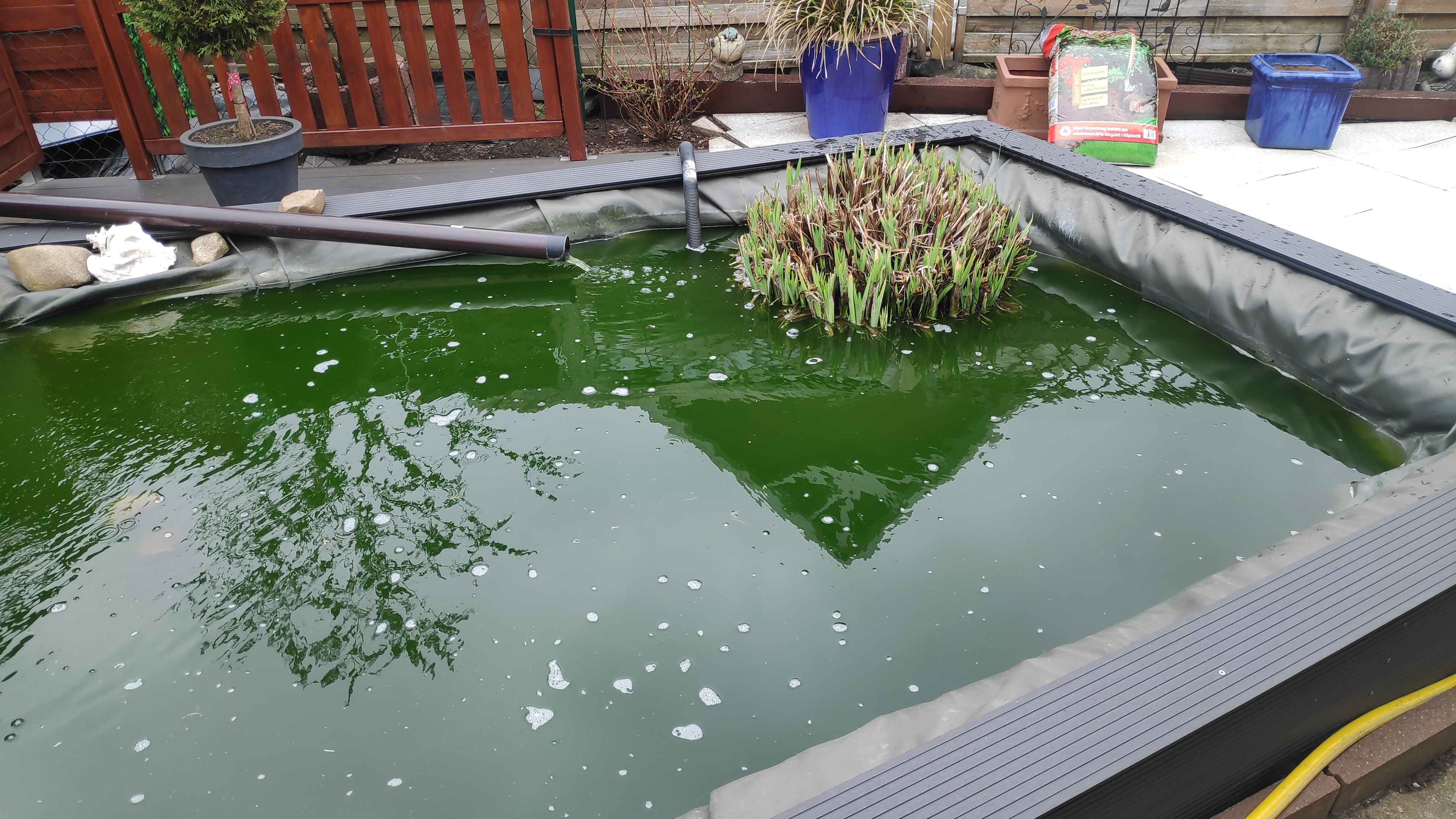 Klares Wasser ohne Chemie