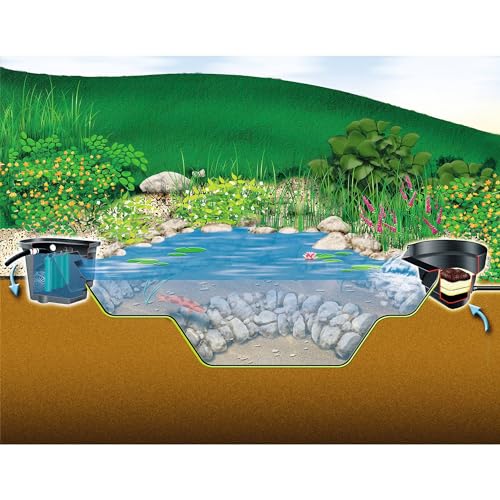 heissner-profi-pond-wandskimmer-kobalance image 6