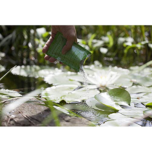 heissner-teichfilter-upgrade-f-plus-jahresbox-teichpflege image 4
