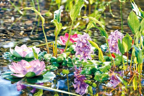 pontec-pondohyacinth-blooming-schwimmende-teich-hyazinthe-kunstpflanze image 6