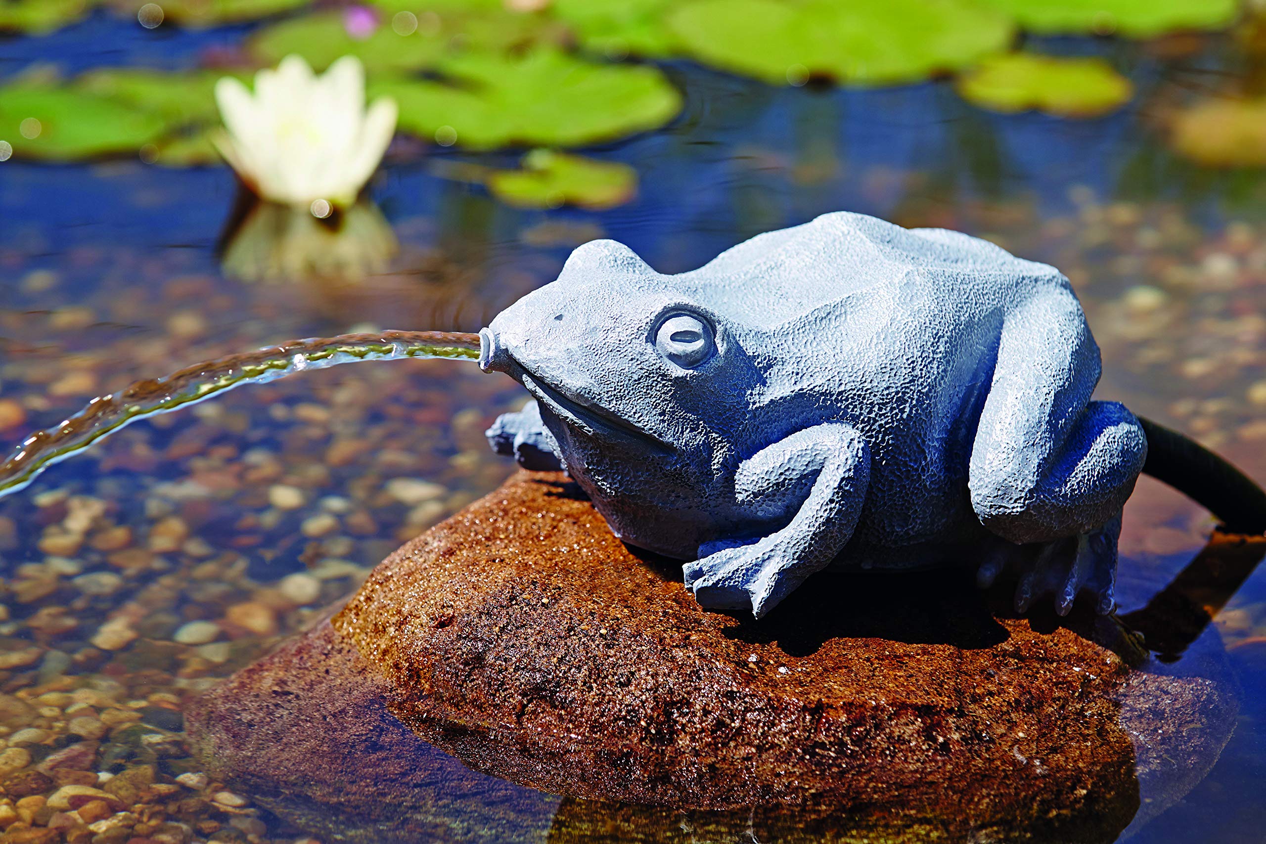 oase-wasserspeier-frosch-teichfigur-anthrazit-25-x-19-x-10-cm-aus-polyresin image 2