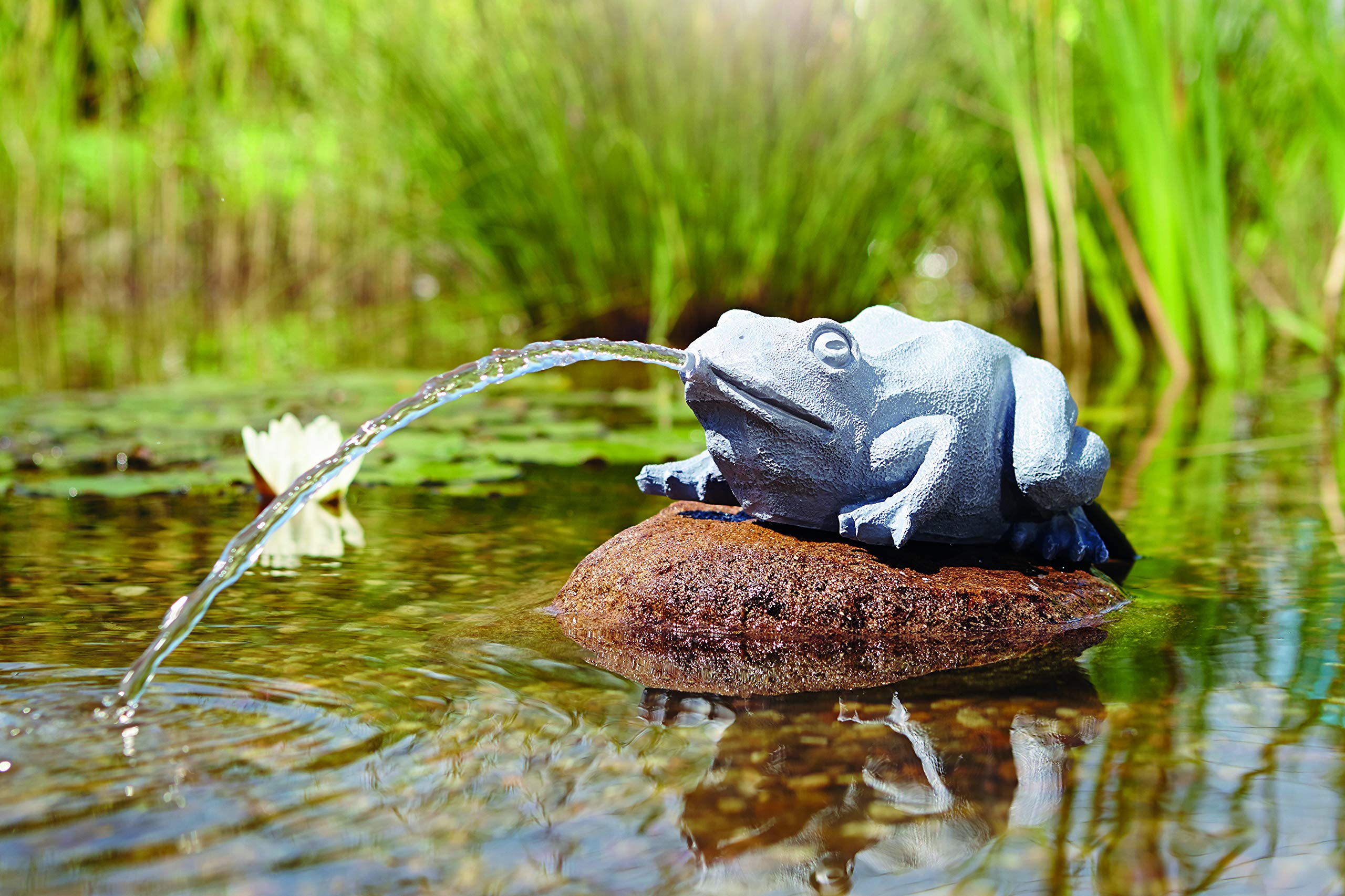 oase-wasserspeier-frosch-teichfigur-anthrazit-25-x-19-x-10-cm-aus-polyresin image 4