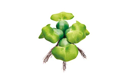 pontec-pondohyacinth-schwimmende-teich-hyazinthe-kunststoff-gr-n-14-cm image 6