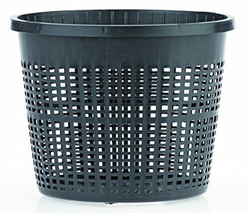 oase-pflanzkorb-rund-13-schwarz-1-liter-ufer-und-flachwasserzone image 5