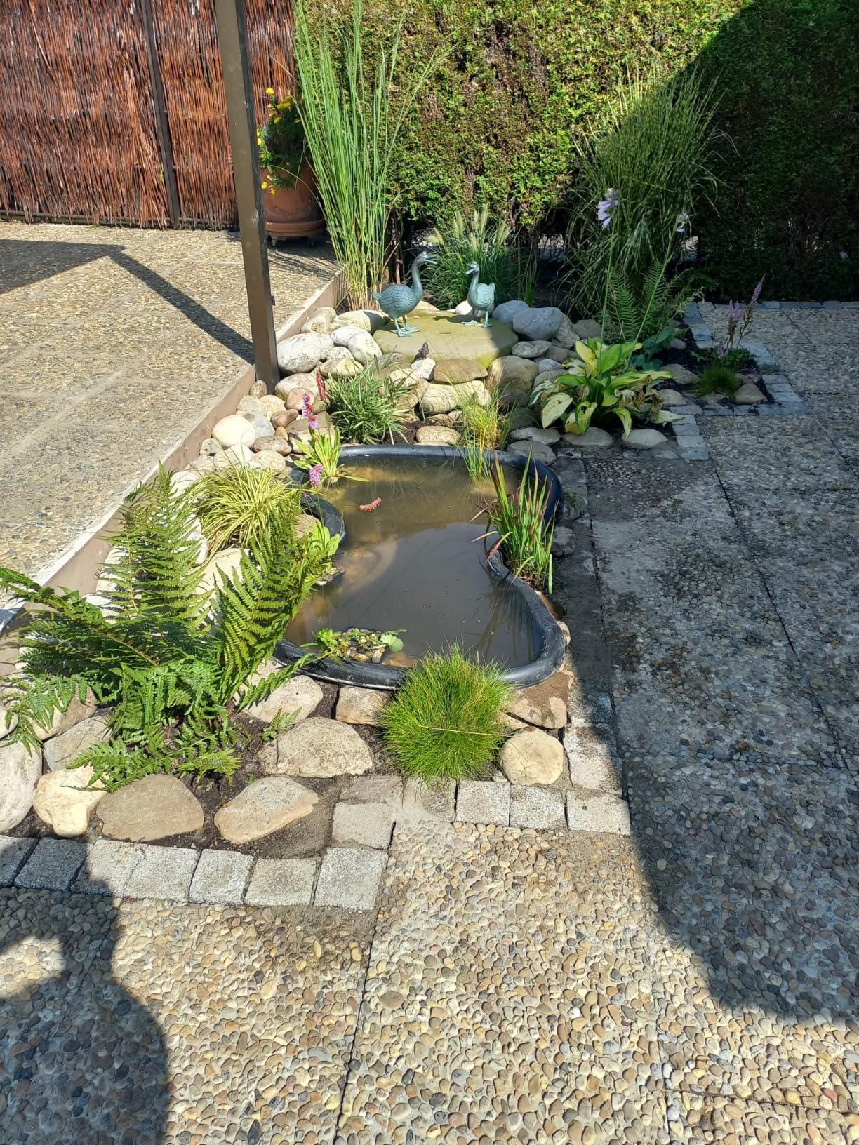 Süßes kleines Becken