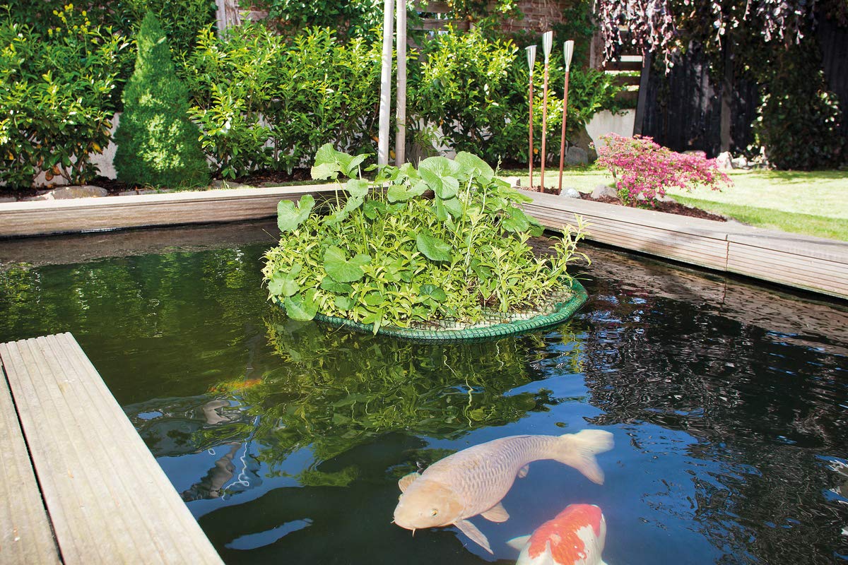 oase-pflanzinsel-rund-45-dekorative-schwimm-pflanzinsel image 3