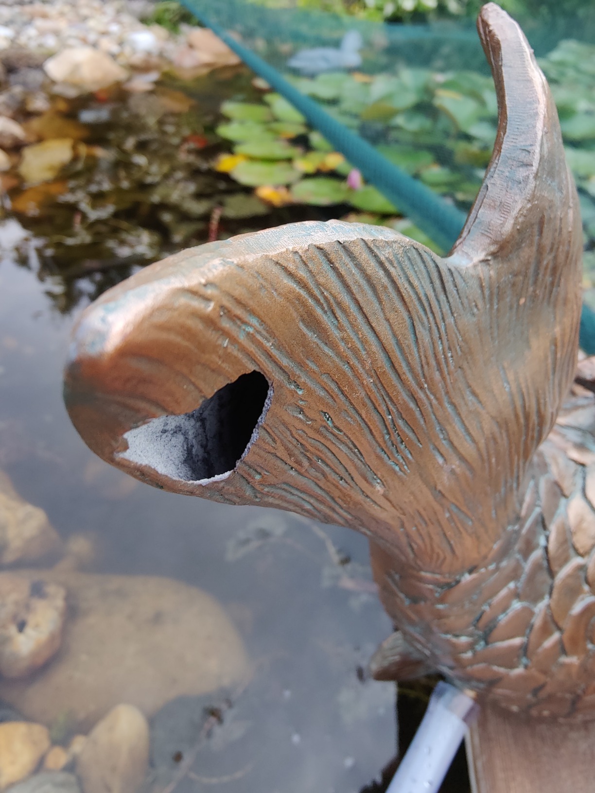 Wunderschöner Wasserspeier