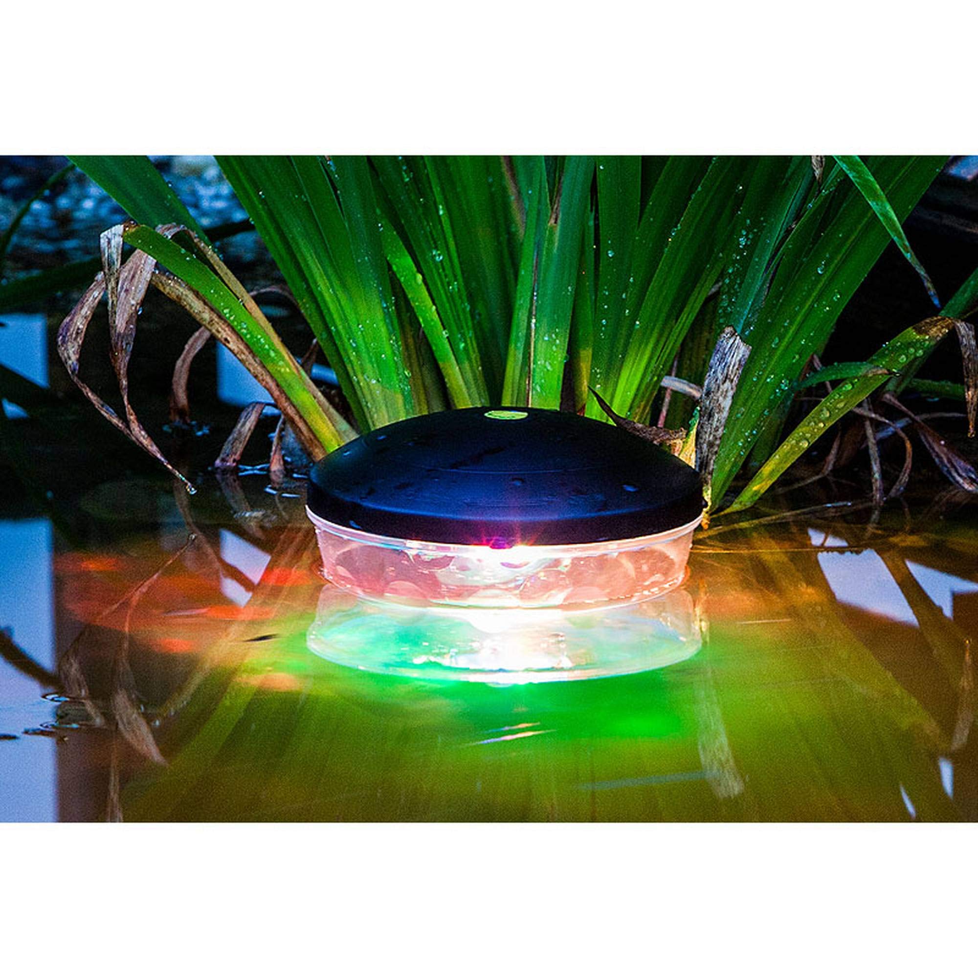 heissner-pond-light-show-l309-00-teichbeleuchtung image 2