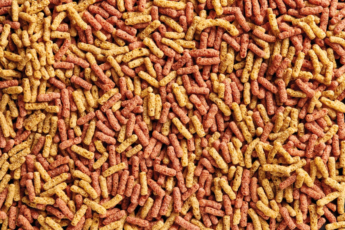 oase-dynamix-sticks-mix-4-l-teichfischfutter-sticks-f-r-gemischte-haltung image 3