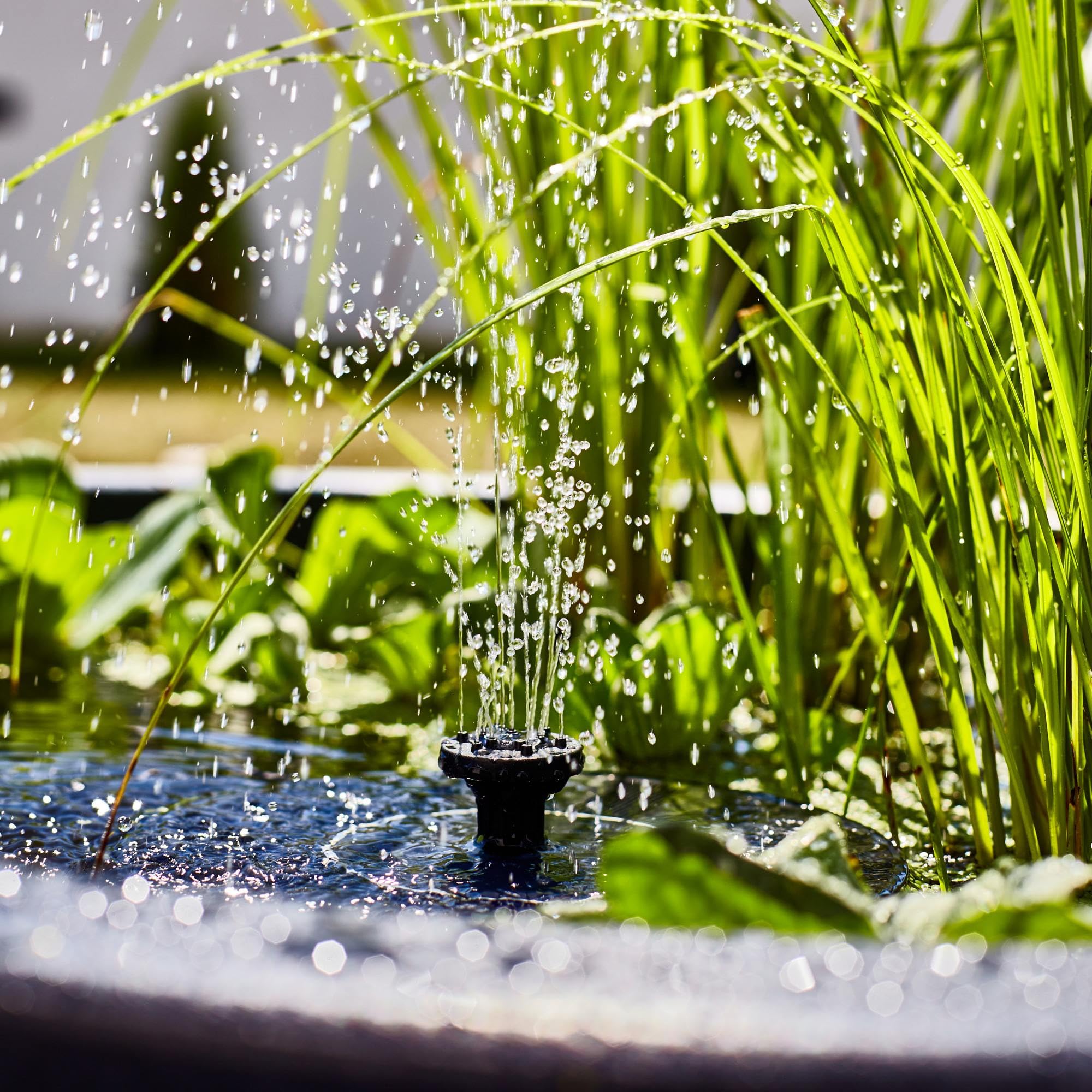 heissner-lotusgarden-solar-wassergarten-miniteich-58-x-58-x-18-cm-in-grau image 4
