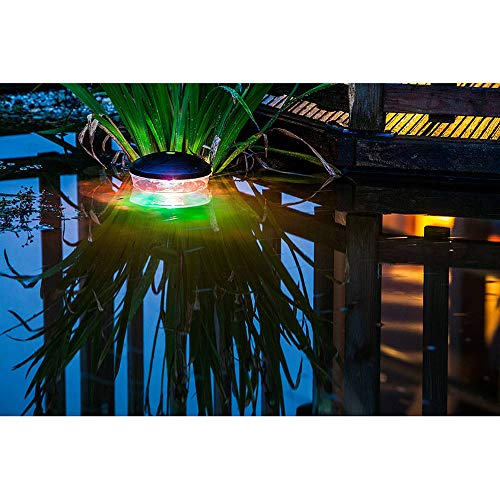 heissner-pond-light-show-l309-00-teichbeleuchtung image 6