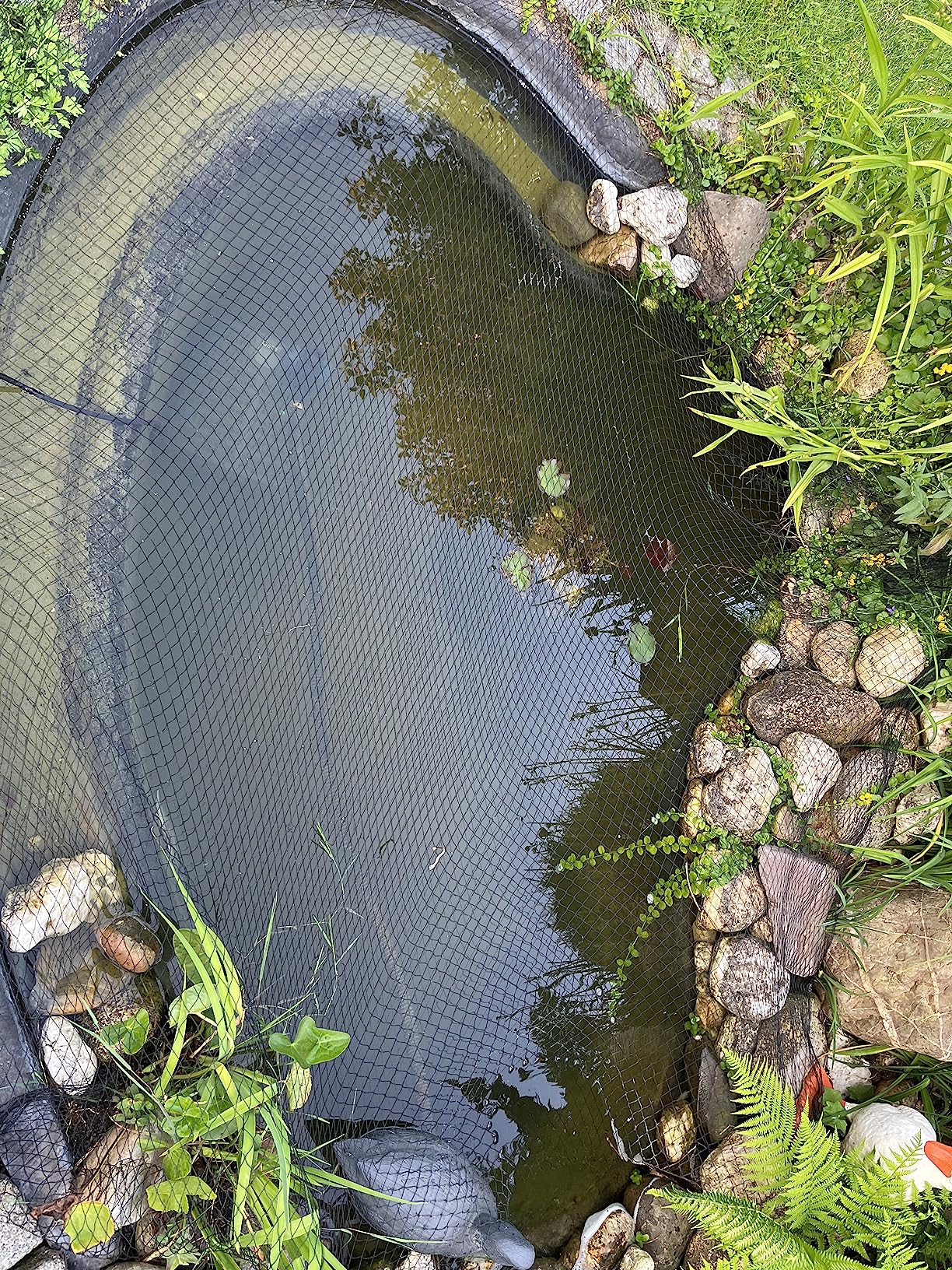 Kleiner Teich, klares Wasser
