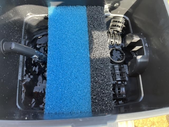 Endlich klares Wasser