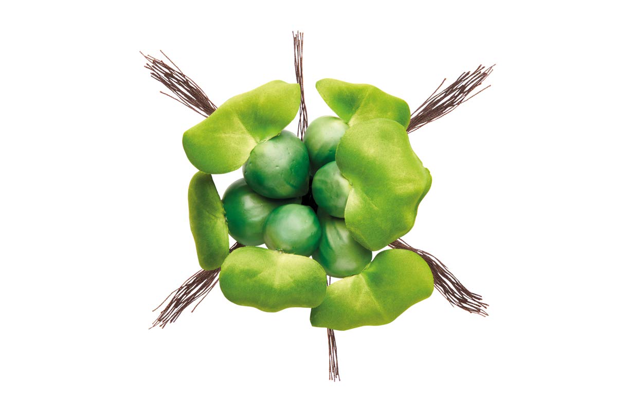 pontec-pondohyacinth-schwimmende-teich-hyazinthe-kunststoff-gr-n-14-cm image 2