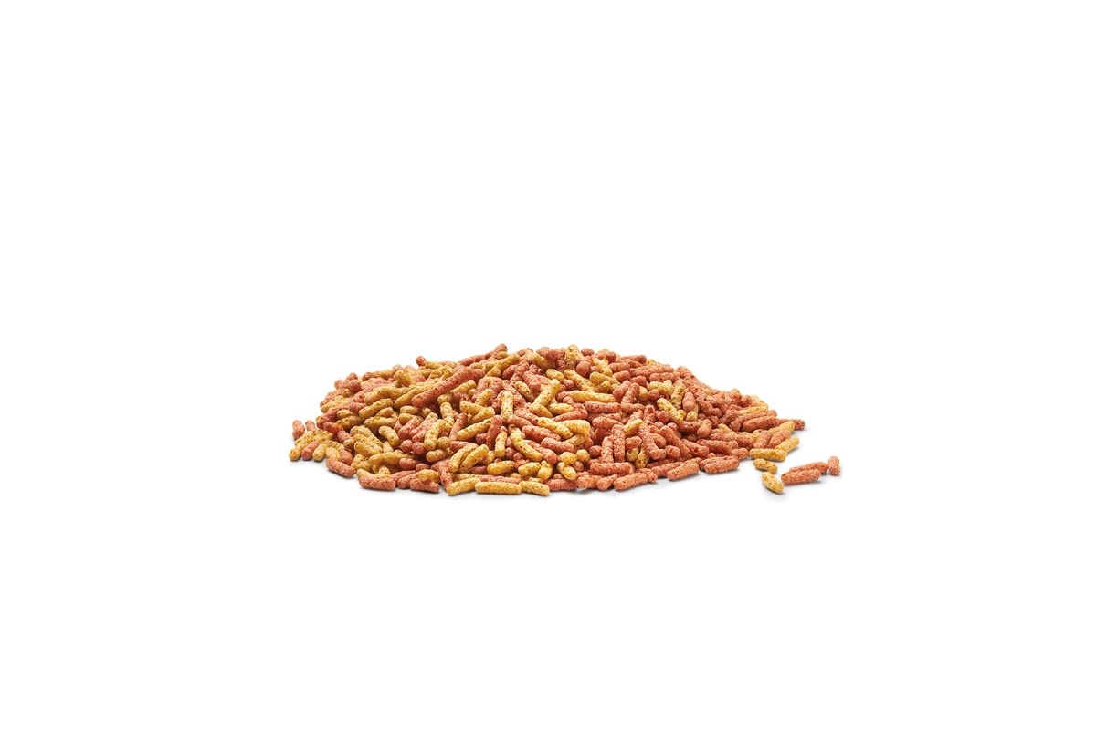 oase-dynamix-sticks-mix-4-l-teichfischfutter-sticks-f-r-gemischte-haltung image 2