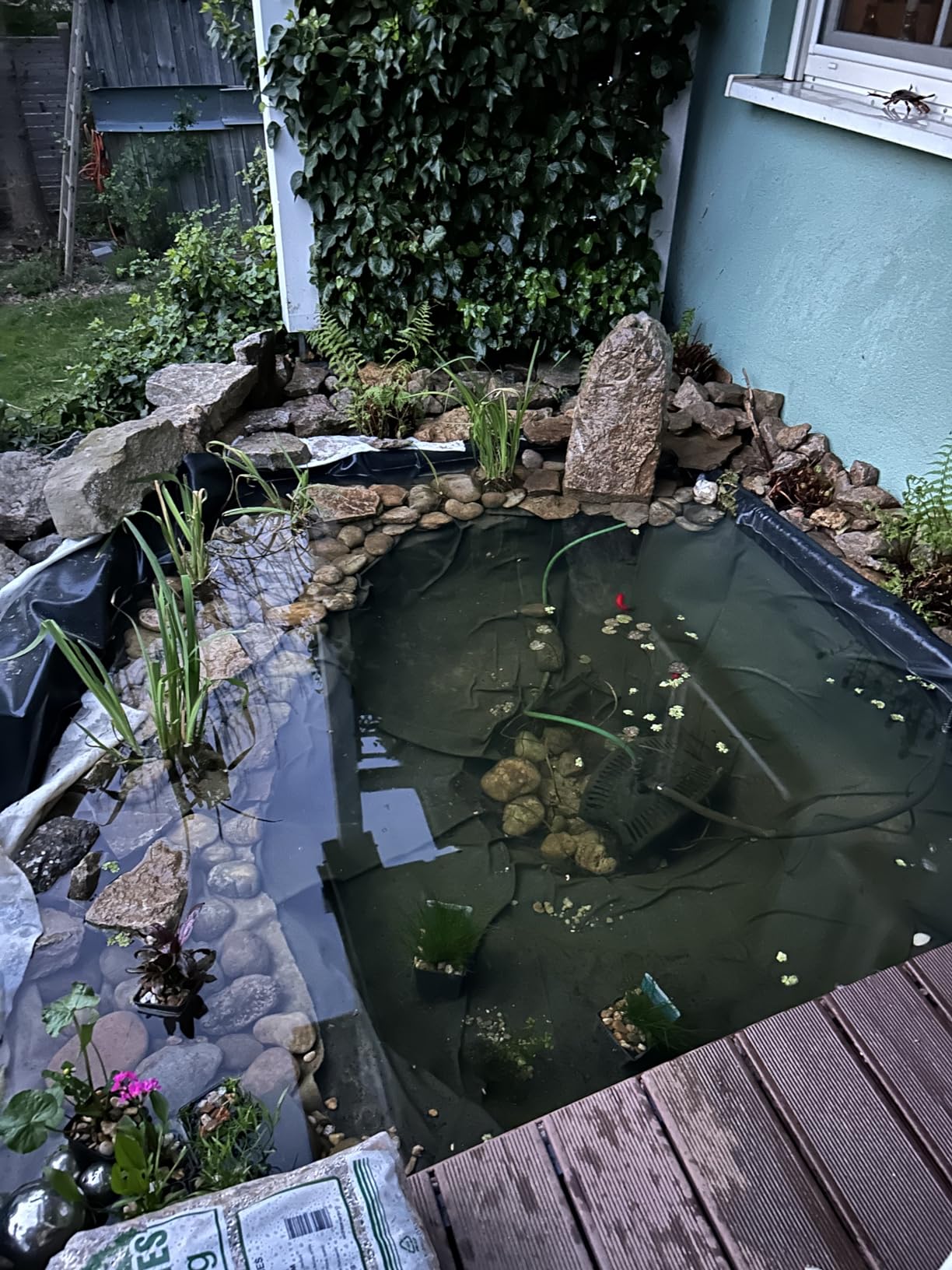 Klares Wasser und schöne Fontäne