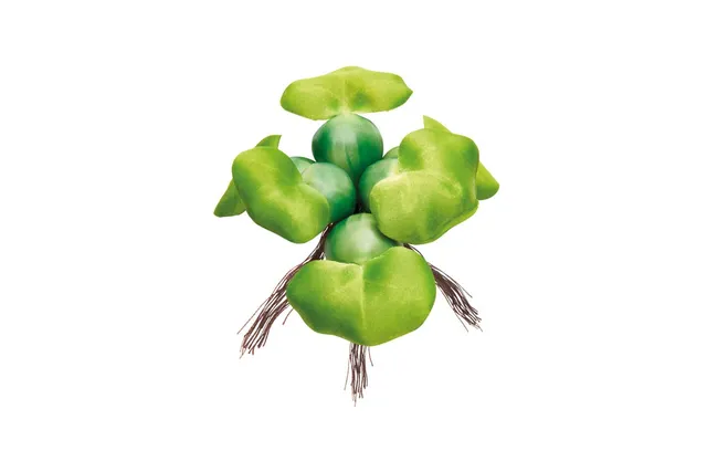 pontec-pondohyacinth-schwimmende-teich-hyazinthe-kunststoff-gr-n-14-cm image 1