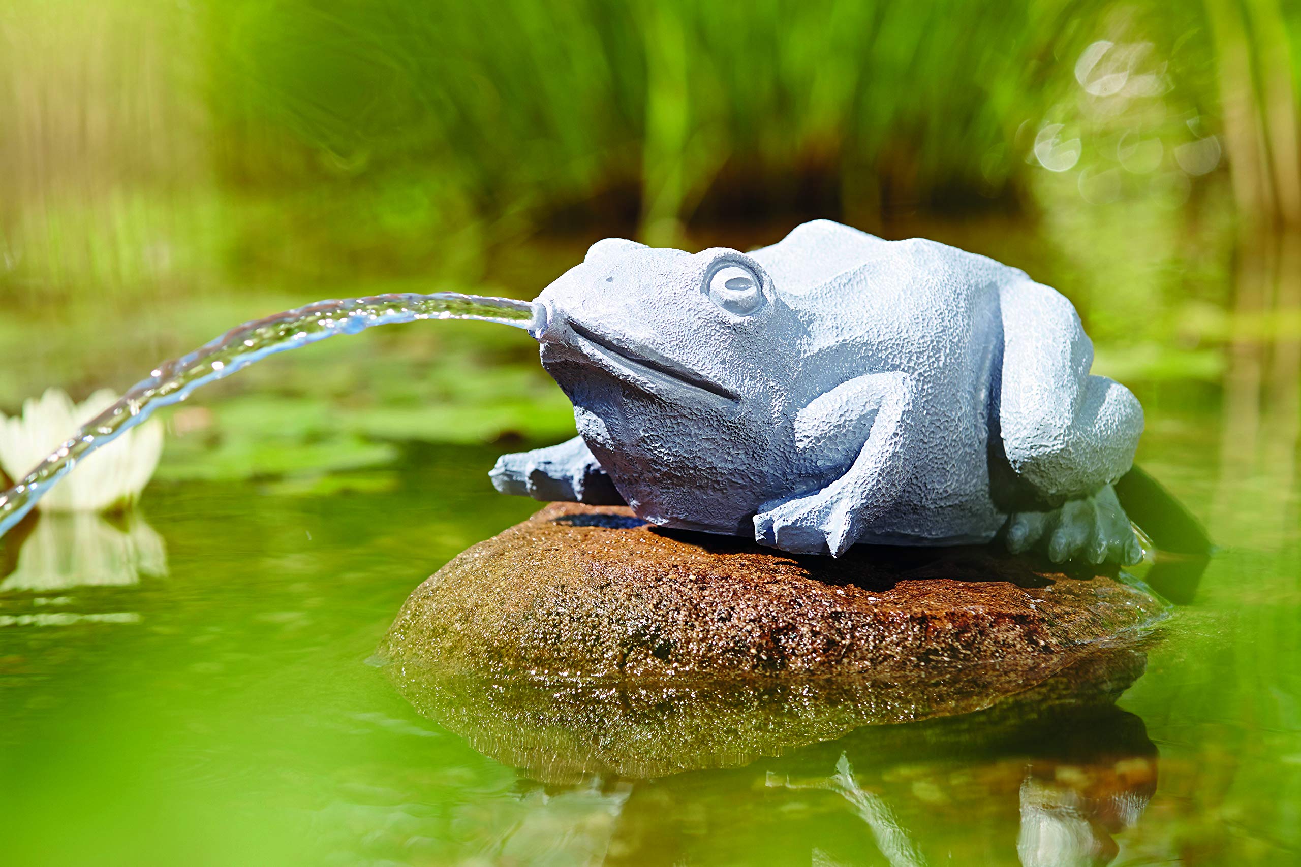 oase-wasserspeier-frosch-teichfigur-anthrazit-25-x-19-x-10-cm-aus-polyresin image 5