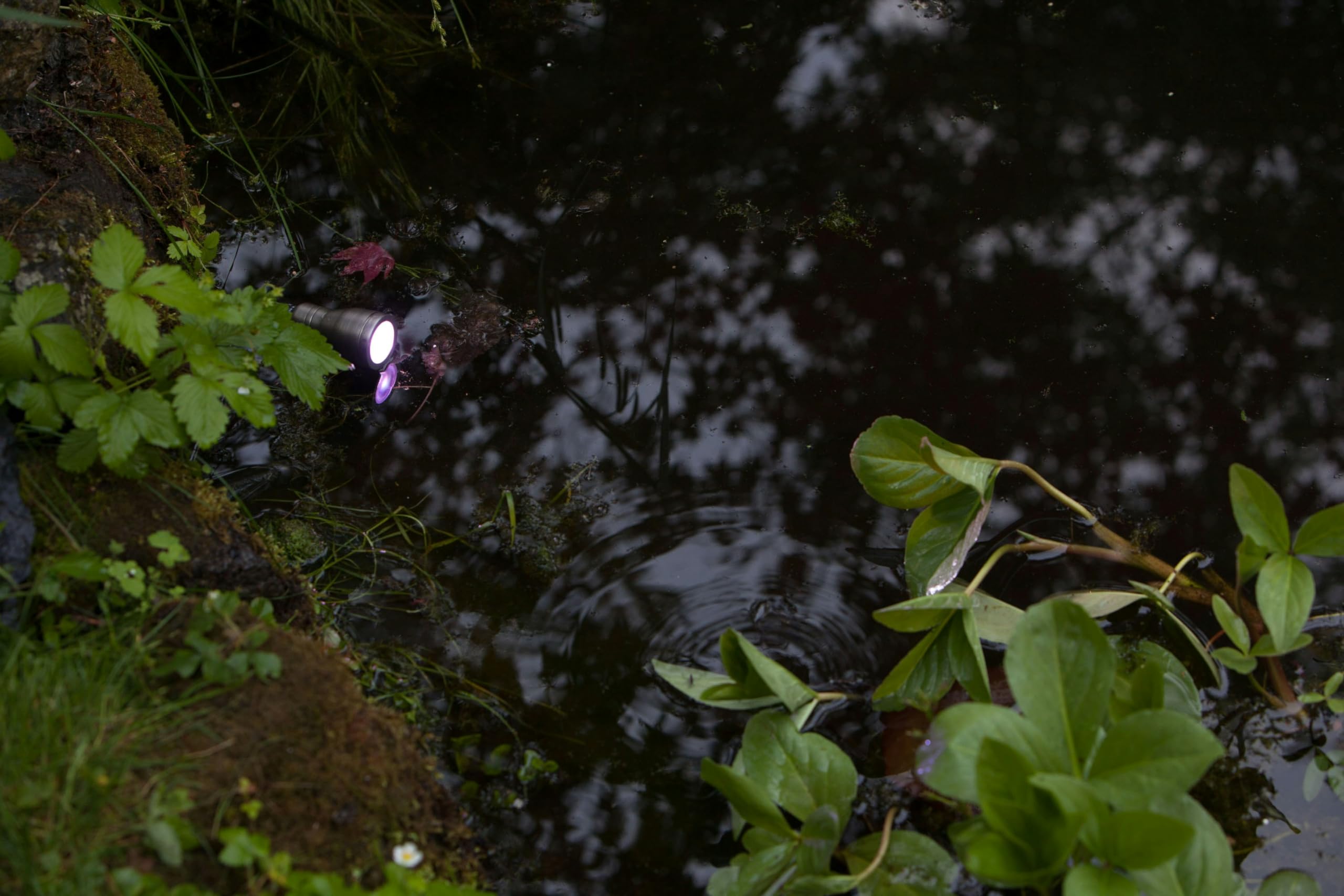 heissner-l433-00-led-smart-light-rgb-spot-3-watt-silber image 5