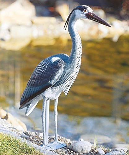 oase-teichfigur-fischreiher-wasserspeier-500-x-170-x-760-mm image 6