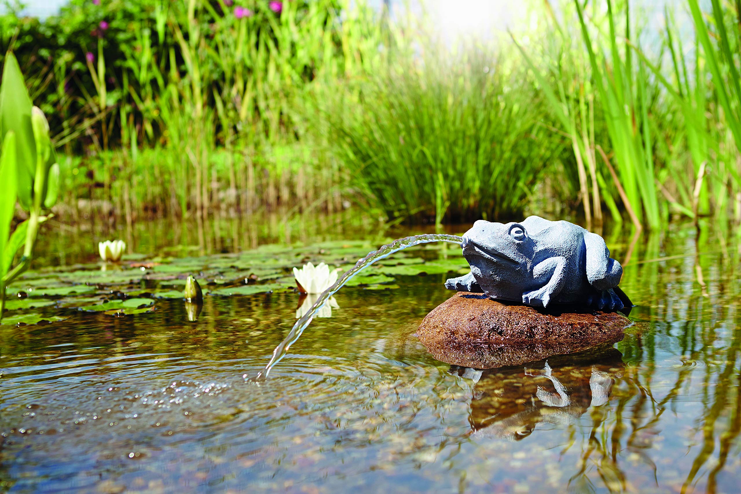 oase-wasserspeier-frosch-teichfigur-anthrazit-25-x-19-x-10-cm-aus-polyresin image 3
